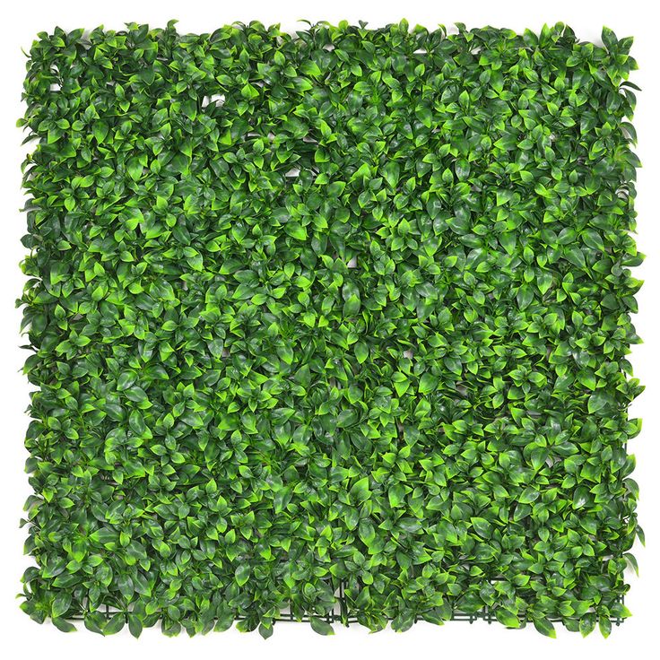 cc556bd73e19226af71e47c942d93537